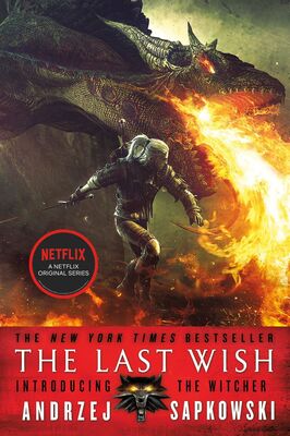 کتاب The Last Wish - The Witcher Introduction 1 رمان انگلیسی آخرین آرزو اثر آندره ساپکوفسکی Andrzej Sapkowski